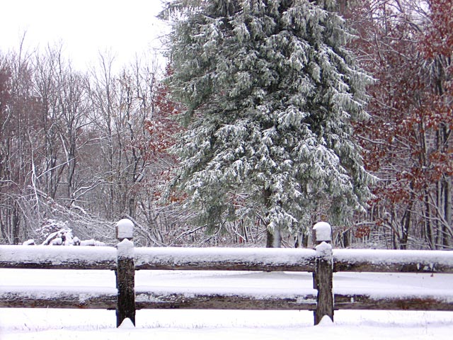 小雪+寒潮，禽畜水產(chǎn)如何應(yīng)對(duì)？