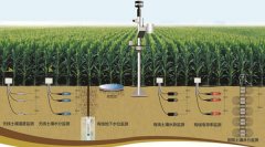 土壤墑情怎么讀，在實際農業(yè)中應用怎樣？
